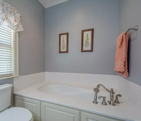 Bath - 3006 David O Young Rd, Benton, AR 72019 photo 4 of 5