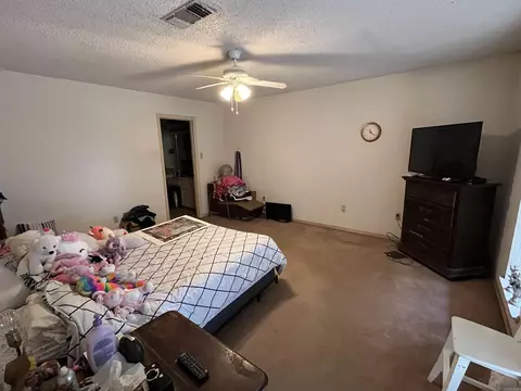 27 Blake Ln, Conway, AR 72032 photo 16