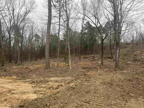 524 Bob Davis Rd, Mountain View, AR 72560 photo 9