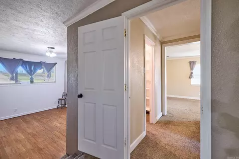 2413 Kruse Loop, Alexander, AR 72002 photo 10