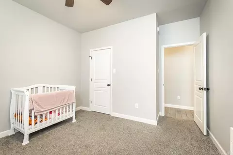804 Mango Loop, Austin, AR 72007 photo 24