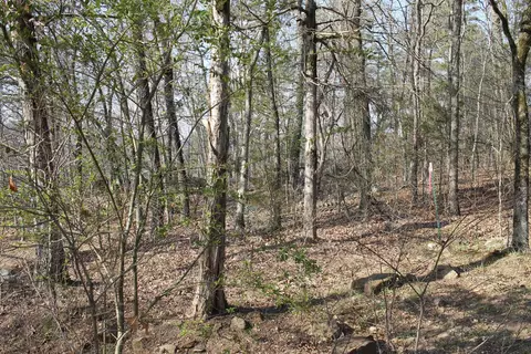 76 Sylamore Vista Ln, Mountain View, AR 72560 photo 49