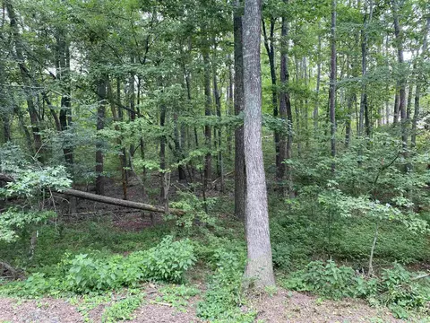 9 Cherokee Loop, Greers Ferry, AR 72067 photo 6