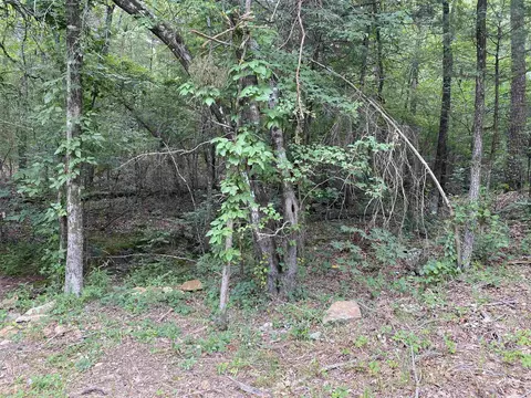 9 Cherokee Loop, Greers Ferry, AR 72067 photo 4