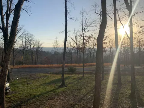 View/Area - 205 Watersedge Dr, Edgemont, AR 72044 photo 9 of 9