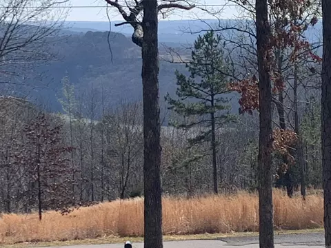 Other - 207 Watersedge Dr, Edgemont, AR 72044 photo 1 of 4