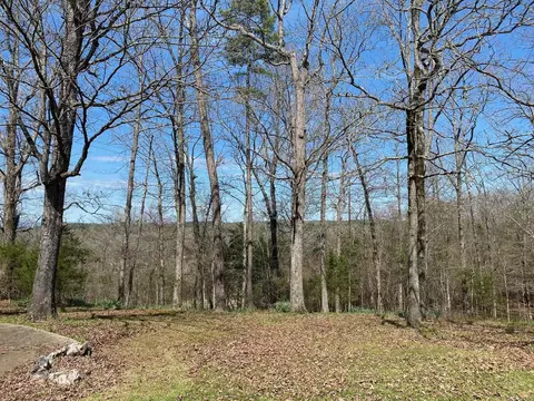152 Evergreen Ln, Mena, AR 71953 photo 18