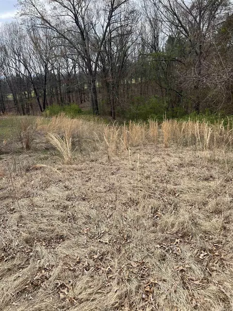 221 Herpel Rd, Mountain View, AR 72560 photo 8