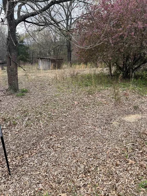 221 Herpel Rd, Mountain View, AR 72560 photo 2