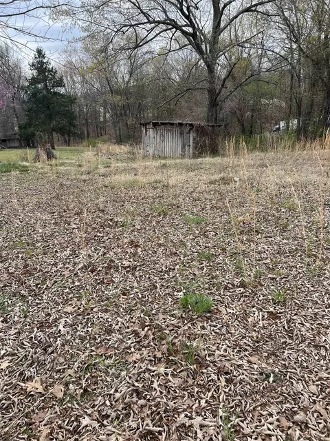 221 Herpel Rd, Mountain View, AR 72560 photo 3