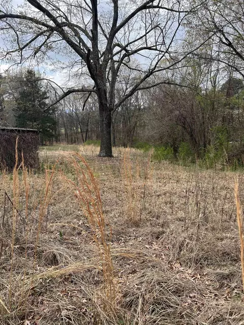 221 Herpel Rd, Mountain View, AR 72560 photo 4