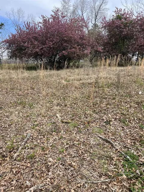221 Herpel Rd, Mountain View, AR 72560 photo 6