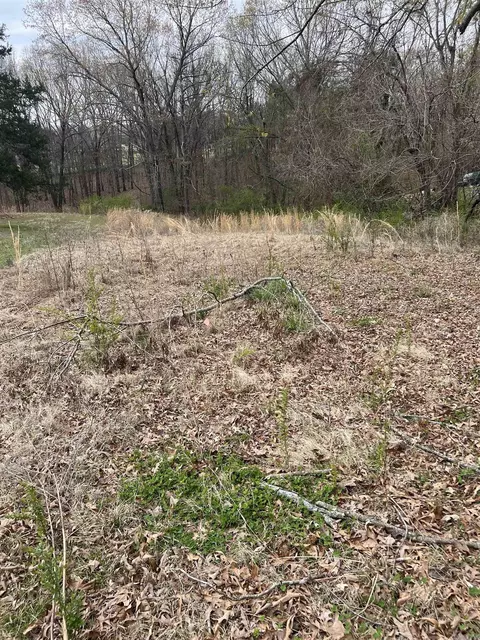 221 Herpel Rd, Mountain View, AR 72560 photo 5