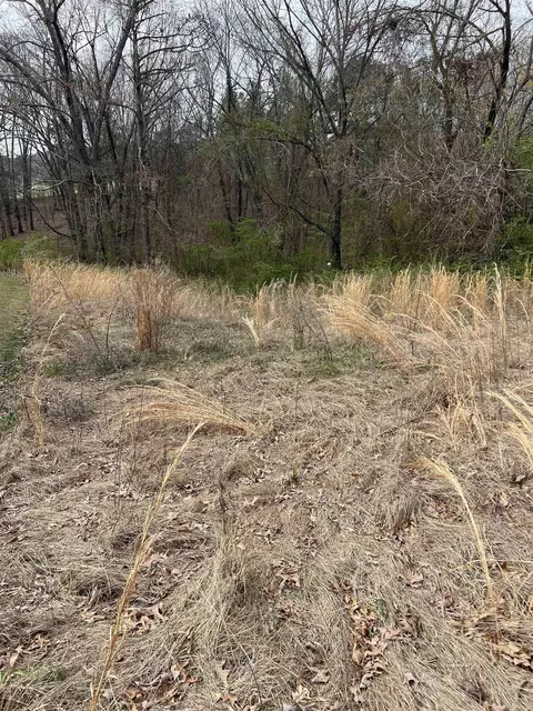 221 Herpel Rd, Mountain View, AR 72560 photo 9