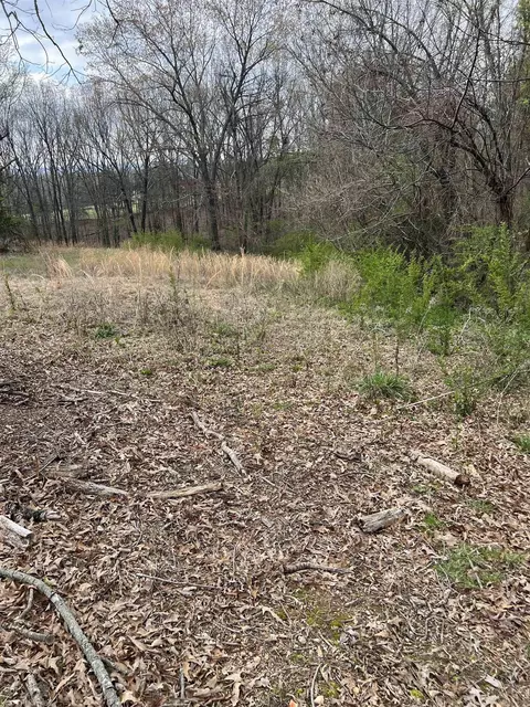 221 Herpel Rd, Mountain View, AR 72560 photo 7