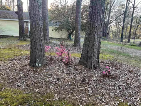Other - 8440 Victoria Dr, Pine Bluff, AR 71603 photo 3 of 15