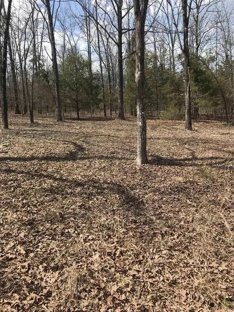 170 Backbone Rd, Evening Shade, AR 72532 photo 17
