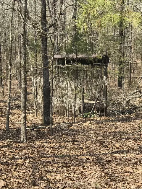 170 Backbone Rd, Evening Shade, AR 72532 photo 19