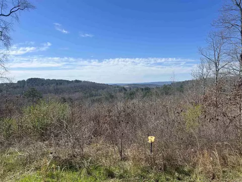 454 Weaver Rd, Clinton, AR 72031 photo 3