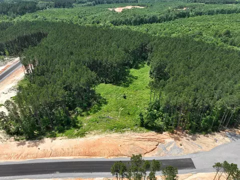 170 Mountain Pine Rd, Mabelvale, AR 72103 photo 9