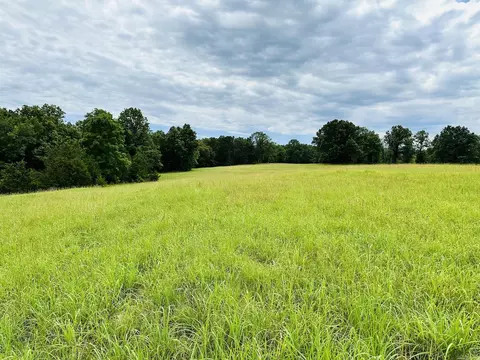Other - 3084 Pleasant Grove Rd, Wideman, AR 72585 photo 9 of 12