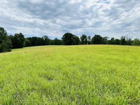Other - 3084 Pleasant Grove Rd, Wideman, AR 72585 photo 10 of 12