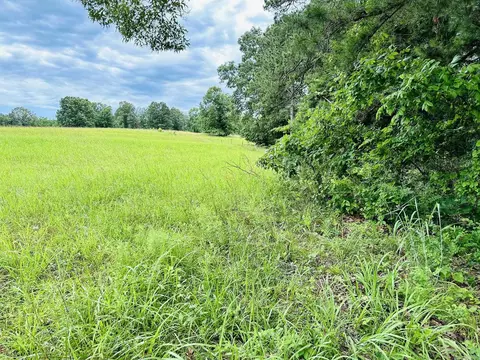 Other - 3084 Pleasant Grove Rd, Wideman, AR 72585 photo 11 of 12