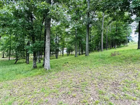 Exterior - 3084 Pleasant Grove Rd, Wideman, AR 72585 photo 13 of 25