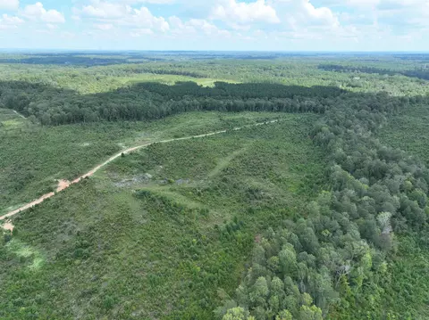262 Mountain Pine Rd, Mabelvale, AR 72103 photo 23
