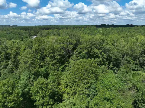 262 Mountain Pine Rd, Mabelvale, AR 72103 photo 19