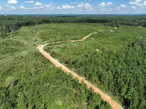 262 Mountain Pine Rd, Mabelvale, AR 72103 photo 17