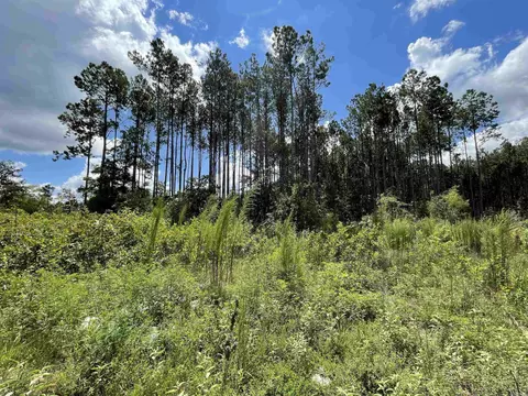 262 Mountain Pine Rd, Mabelvale, AR 72103 photo 27
