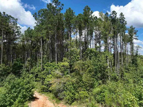262 Mountain Pine Rd, Mabelvale, AR 72103 photo 21