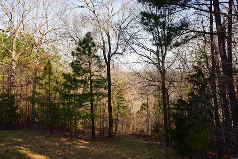 View/Area - 693 Mustang Dr, Clinton, AR 72031 photo 1 of 1