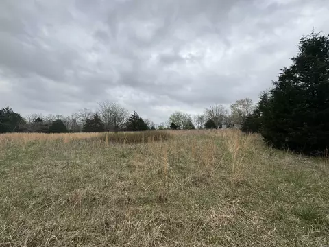 2091 Johnson View Rd, Wiseman, AR 72587 photo 7