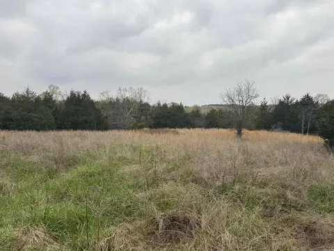 2091 Johnson View Rd, Wiseman, AR 72587 photo 12