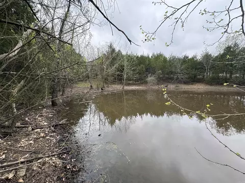 2091 Johnson View Rd, Wiseman, AR 72587 photo 8