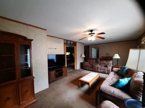 415 E Webb, Mountain View, AR 72560 photo 14