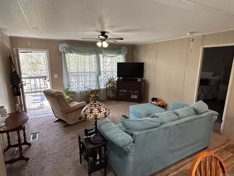 431 Prissy Ln, Mountain View, AR 72560 photo 19