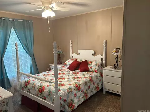 431 Prissy Ln, Mountain View, AR 72560 photo 2