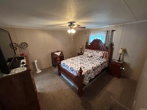 431 Prissy Ln, Mountain View, AR 72560 photo 11