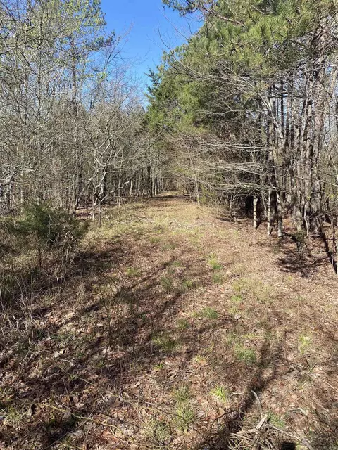 View/Area - 1652 Murphy Rd, Norman, AR 71960 photo 16 of 19
