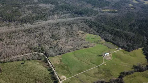 View/Area - 1652 Murphy Rd, Norman, AR 71960 photo 5 of 19