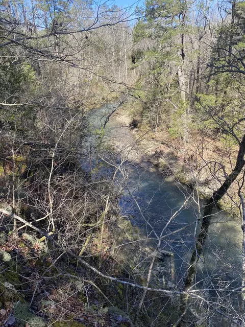 View/Area - 1652 Murphy Rd, Norman, AR 71960 photo 17 of 19
