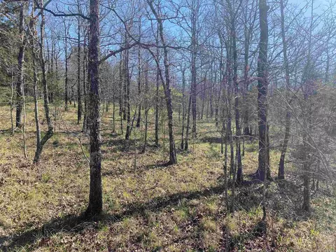 View/Area - 1652 Murphy Rd, Norman, AR 71960 photo 15 of 19