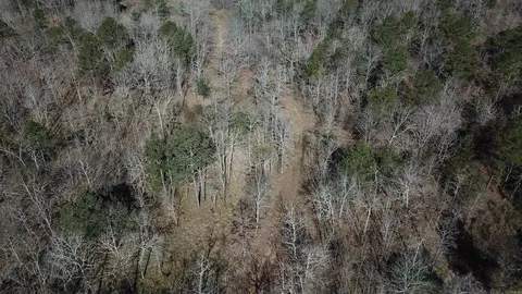 View/Area - 1652 Murphy Rd, Norman, AR 71960 photo 8 of 19