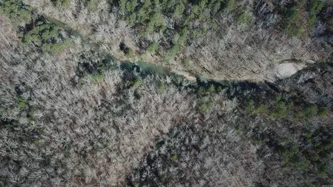 View/Area - 1652 Murphy Rd, Norman, AR 71960 photo 9 of 19