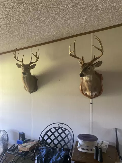 Other - 1652 Murphy Rd, Norman, AR 71960 photo 2 of 2