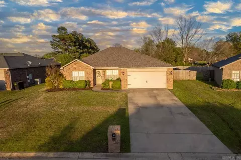 14 Mulberry Loop, Ward, AR 72176 photo 1