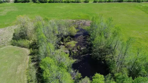188 Clark Rd, Mcrae, AR 72102 photo 5